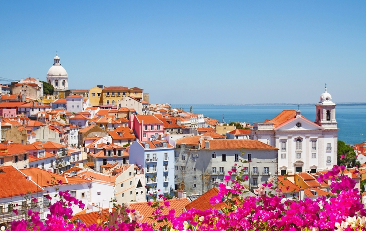 Blick auf Lissabon mit bunten Häusern und Blumen im Vordergrund.