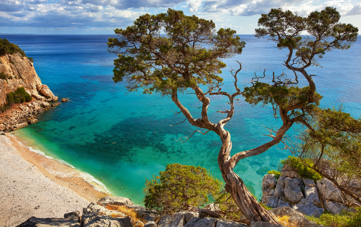 Küste mit Baum am türkisblauen Meer unter bewölktem Himmel.