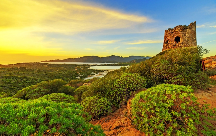 Mittelmeerlandschaft mit altem Steinturm und grünem Bewuchs bei Sonnenuntergang.
