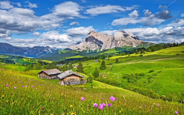 Berglandschaft mit Hütten und blühender Wiese im Vordergrund