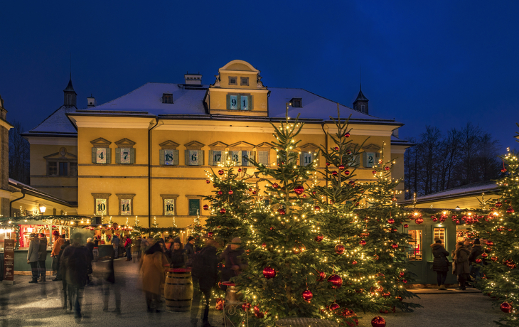 Weihnachtsmarkt mit beleuchteten Tannenbäumen vor historischer Gebäudeansicht bei Nacht