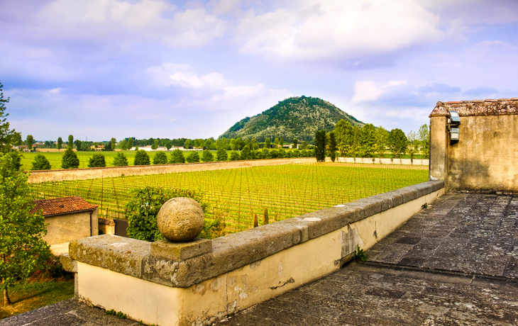 Blick von einer Terrasse auf ein grünes Feld mit Berg im Hintergrund.