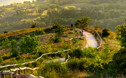 Landschaft mit geschwungenem Wanderweg und Bäumen im Sonnenschein