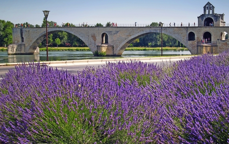 Historische Steinbrücke über einen Fluss, umgeben von üppigen Lavendelfeldern im Vordergrund.