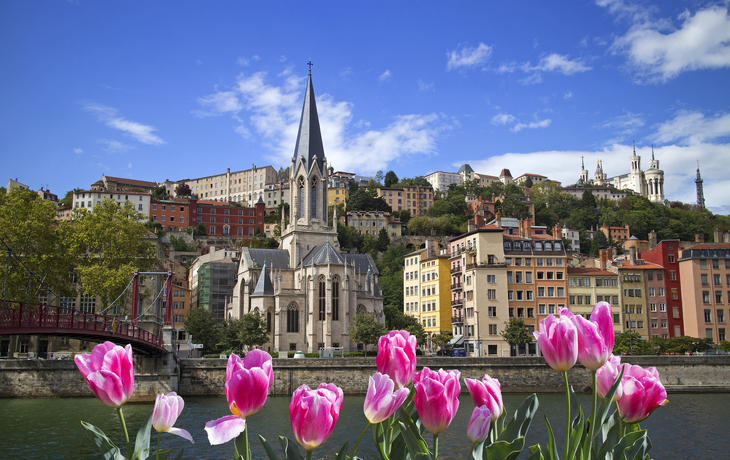 Blick auf eine Kirche und bunte Gebäude hinter rosa Tulpen, unter blauem Himmel.